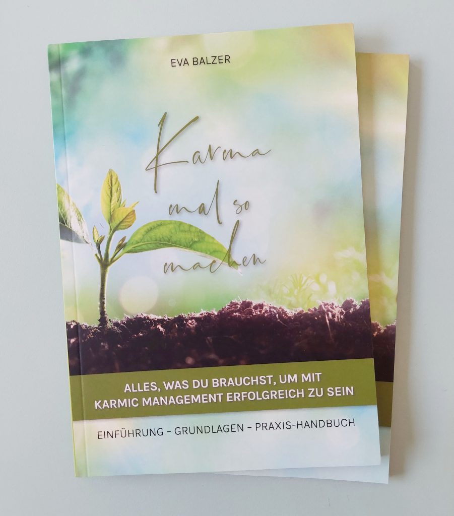Eva Balzer Buch